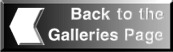 BACK TO GALLERIES PAGE BUTTON